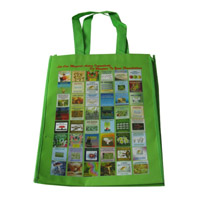 那曲LB11覆膜无纺布广告袋